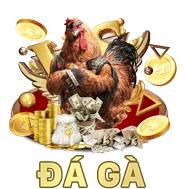 Biểu tượng hoa hồng cao
